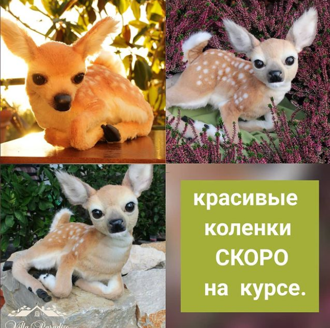 Скриншот 09-01-2021 121222.png