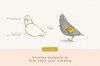 cdtoolkit-birds-glanz-2-.jpg