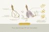 cdtoolkit-birds-glanz-4-.jpg