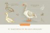 cdtoolkit-birds-glanz-7-.jpg